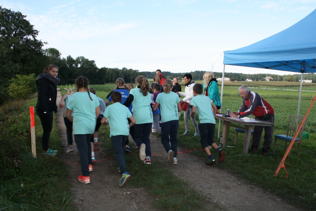 Bild 1 (47)